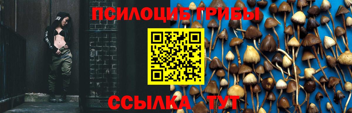Галлюциногенные грибы MAGIC MUSHROOMS  Вход с VPN  Менделеевск  Псилоцибиновые грибы мухоморы 
